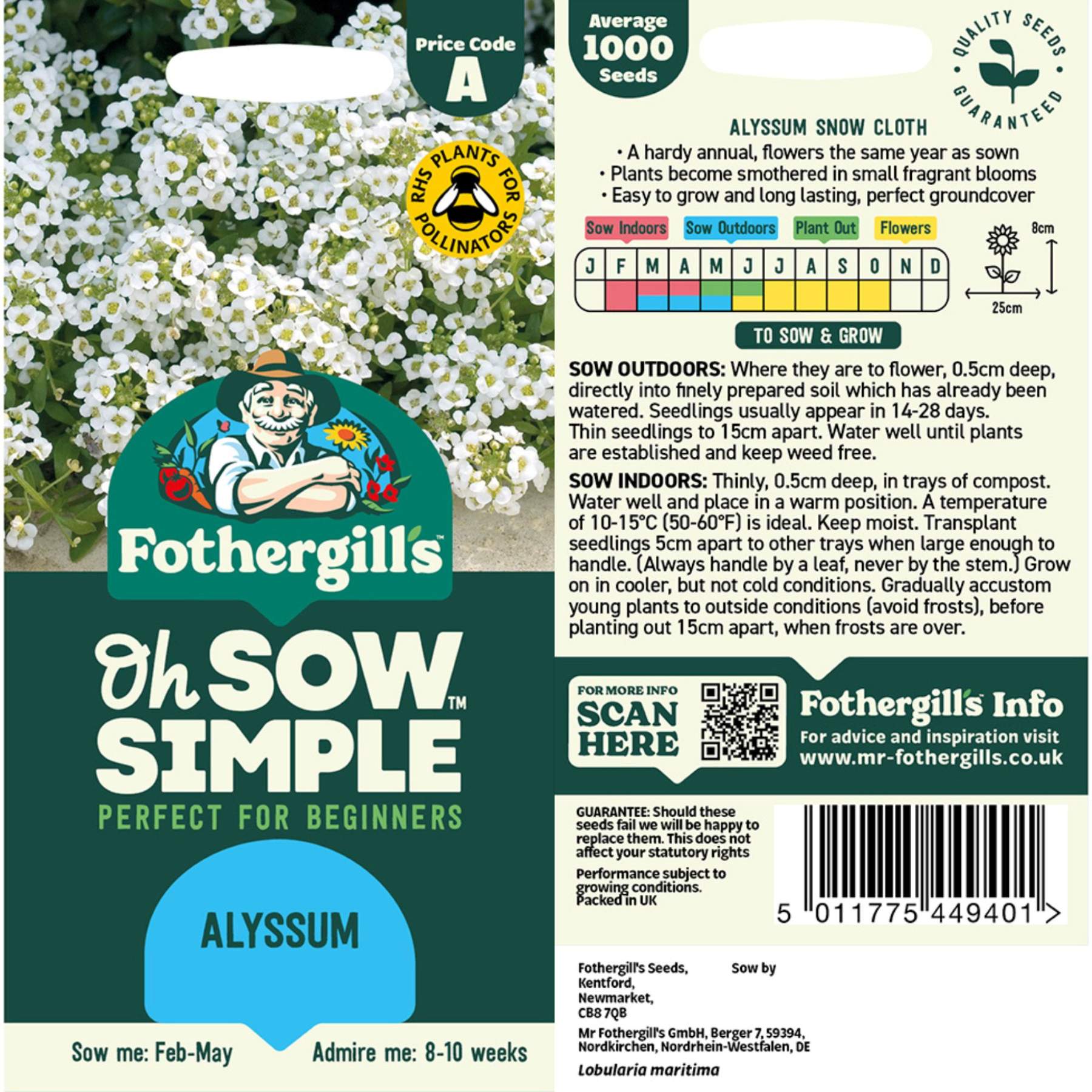 Alyssum Seed