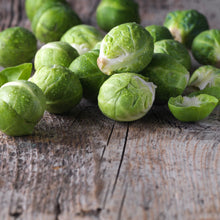 Brussels Sprout Seed