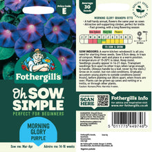 Morning Glory Purple Seed