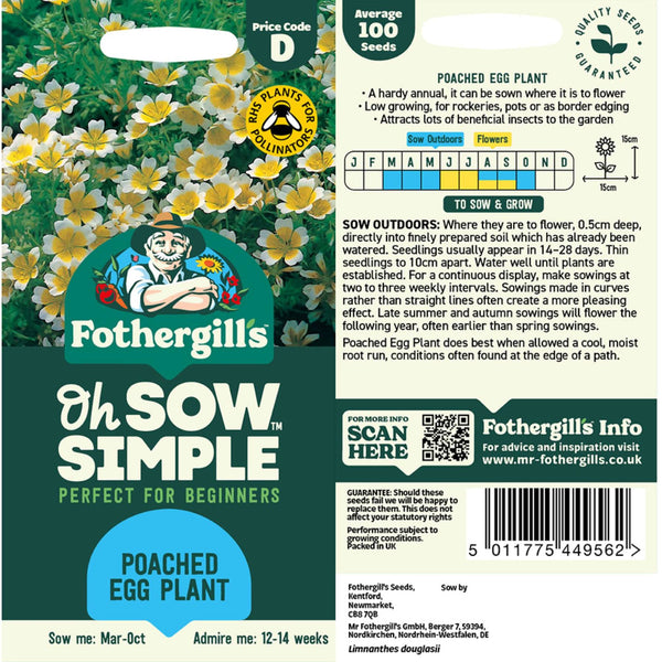 Poached Egg Plant Seed