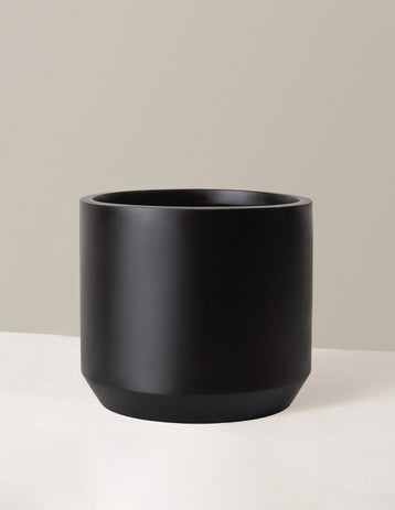 Large Mexia Planter